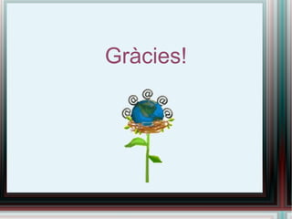Gràcies! 