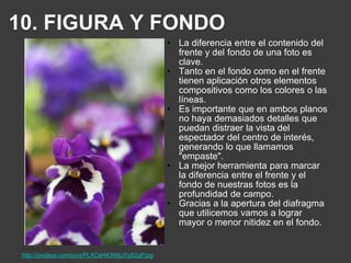 Demasiadainformación en el cuadrohaceque el espectador se distraiga.Fuente foto: http://farm3.static.zooomr.com/images/6786795_6af5e87c3c.jpg