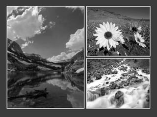 Si hay algo en la fotografíaqueparezcaestar en movimiento, tieneunadirección en la que se mueve. 