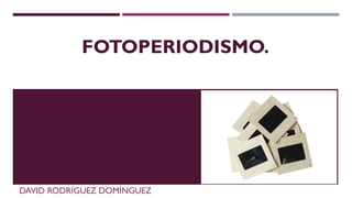 FOTOPERIODISMO.
DAVID RODRÍGUEZ DOMÍNGUEZ
 