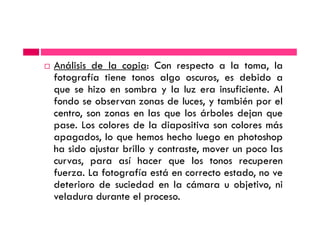 Análisis de la copia: Con respecto a la toma, la
fotografía tiene tonos algo oscuros, es debido a
que se hizo en sombra y la luz era insuficiente. Al
fondo se observan zonas de luces, y también por el
centro, son zonas en las que los árboles dejan quecentro, son zonas en las que los árboles dejan que
pase. Los colores de la diapositiva son colores más
apagados, lo que hemos hecho luego en photoshop
ha sido ajustar brillo y contraste, mover un poco las
curvas, para así hacer que los tonos recuperen
fuerza. La fotografía está en correcto estado, no ve
deterioro de suciedad en la cámara u objetivo, ni
veladura durante el proceso.
 
