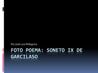 Foto poema: Soneto IX de Garcilaso Por José Luis Pellegrino 