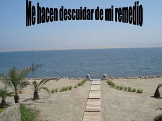 Me hacen descuidar de mi remedio 