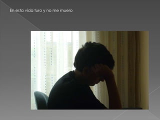 En esta vida turo y no me muero