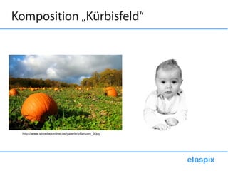 Komposition „Kürbisfeld“




 http://www.stroebelonline.de/galerie/pflanzen_9.jpg
 