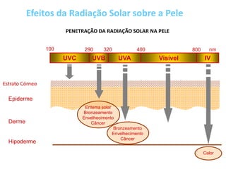 PENETRAÇÃO DA RADIAÇÃO SOLAR NA PELE
Estrato Córneo
Epiderme
Derme
Hipoderme
UVC UVB UVA Visível IV
100 290 320 400 800 nm
Eritema solar
Bronzeamento
Envelhecimento
Câncer
Bronzeamento
Envelhecimento
Câncer
Calor
Efeitos da Radiação Solar sobre a Pele
 