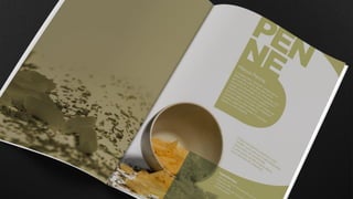 FOTO PUBLICITÁRIA - CATÁLOGO DE MASSAS