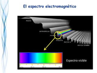El espectro electromagnético
Espectro visible
 