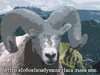 МагIарулазул маргьу