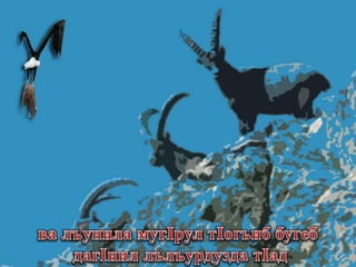 МагIарулазул маргьу