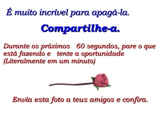 Envía esta foto a teus amigos e confira.  É muito incrível para apagá-la.  Durante os próximos  60 segundos, pare o que está fazendo e  tente a oportunidade (Literalmente em um minuto) Compartilhe-a. 