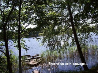 Encore un coin sauvage ….. Encore un coin sauvage…. 