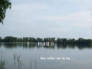 Des voiles sur le lac. Des voiles sur le lac….. 