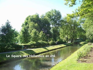 Le Square des Hollandais en été. Le Square des Hollandais en été. 