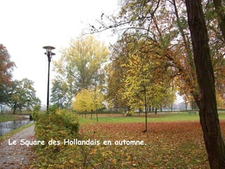 Le Square des Hollandais en automne. Le Square des Hollandais en automne. 