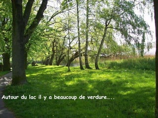 Autour du lac il y a beaucoup de verdure…. Autour du lac il y a beaucoup de verdure….. 