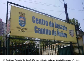 El Centro de Rescate Canino (CRC), está ubicado en la Av. Vicuña Mackenna Nº 1590  
