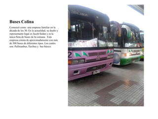 Buses Colina
Comenzó como una empresa familiar en la
década de los 30. En la actualidad, su dueño y
representante legal es Jacob Sedan y es la
única flota de buses de la comuna. Esta
empresa consta de aproximadamente con más
de 300 buses de diferentes tipos. Los cuales
son: Pullmanbus, Taxibus y bus básico.
 