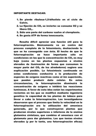 IMPORTANTE DESTACAR: 
1. Se pierde ribulosa-1,5-bifosfato en el ciclo de 
Calvin. 
2. La fijación de CO2 se invierte: se consume O2 y se 
libera CO2 . 
3. Sólo una parte del carbono vuelve al cloroplasto. 
4. Se gasta ATP de forma innecesaria. 
Resulta difícil apreciar una función útil para la 
fotorrespiración. Básicamente va en contra del 
proceso completo de la fotosíntesis, deshaciendo lo 
que se ha conseguido con ésta. El hecho de que la 
fotorrespiración se hace importante sólo en 
condiciones en las que la concentración de CO2 es muy 
baja (como en las plantas expuestas a niveles 
elevados de iluminación de forma que consumen la 
mayor parte del CO2 de los alrededores) sugiere una 
explicación posible. La fotosíntesis continuada en 
estas condiciones conduciría a la producción de 
especies de oxígeno reactivas como el ión superóxido, 
que pueden producir daño celular. En estas 
circunstancias, la fotorrespiración disminuirá la 
concentración de oxígeno e inhibirá las reacciones 
luminosas. A favor de esta idea están los experimentos 
recientes en los que se modificó mediante ingeniería 
genética la capacidad de las plantas de tabaco para 
llevar a cabo la fotorrespiración. Los investigadores 
observaron que el proceso que limita la velocidad en la 
fotorrespiración era la utilización del amoníaco 
generado, por lo que construyeron plantas que 
producían niveles superiores o inferiores de la enzima 
glutamina sintetasa, que combina el amoníaco con el 
glutamato para dar glutamina. Las que tenían niveles 
elevados (y por lo tanto, una fotorrespiración eficaz) 
 