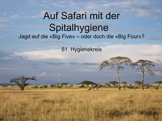 Auf Safari mit der
Spitalhygiene
Jagd auf die «Big Five» – oder doch die «Big Four»?
51. Hygienekreis
 