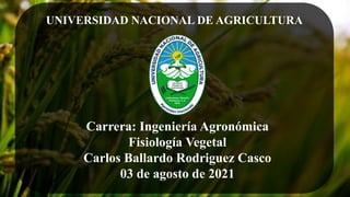Carrera: Ingeniería Agronómica
Fisiología Vegetal
Carlos Ballardo Rodriguez Casco
03 de agosto de 2021
UNIVERSIDAD NACIONAL DE AGRICULTURA
 