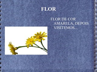 FLOR FLOR DE COR AMARELA, DEPOIS VISITEMOS...