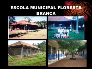 ESCOLA MUNICIPAL FLORESTA BRANCA 