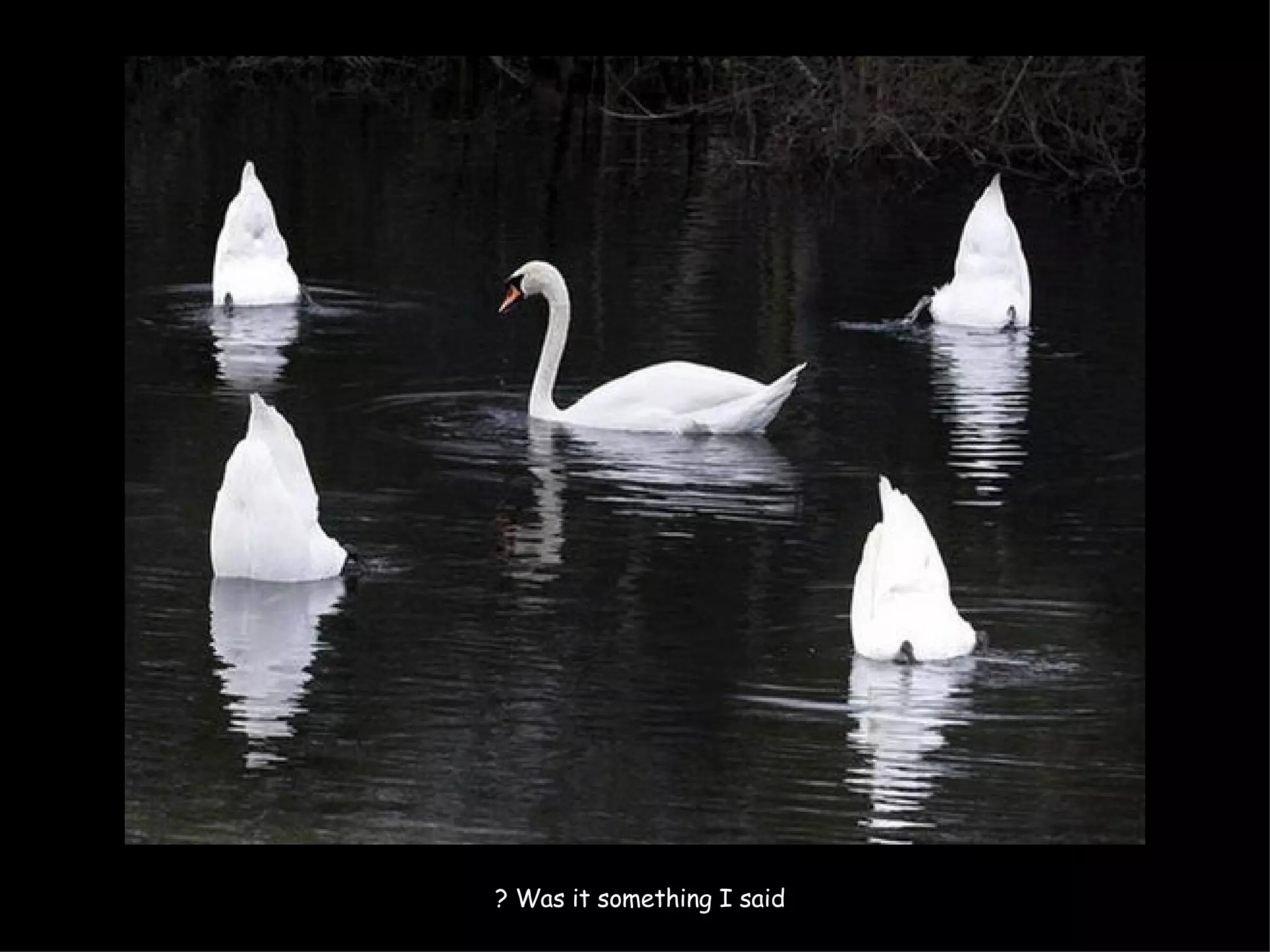 Was it something I said ?