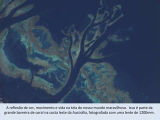 A reflexão de cor, movimento e vida na tela do nosso mundo maravilhoso.  Isso é parte da grande barreira de coral na costa leste da Austrália, fotografada com uma lente de 1200mm. 