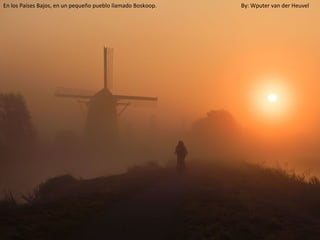 En los Países Bajos, en un pequeño pueblo llamado Boskoop.   By: Wputer van der Heuvel
 