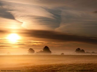 Paisaje matutino, Lituania.   by: Euyenijus Rauduve
 