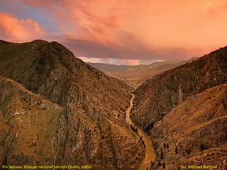 Río Salmón. Bosque nacional Salmon-Challis, Idaho   by: Michael Melford
 