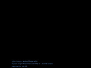Fotos: internet National Geographic.
Música: Chopin Nocturne in E-Flat Op. 9 by: Bob Geresti
Presentación. J.O.S.B.
 