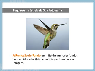 Foque-se na Estrela da Sua Fotografia




A Remoção do Fundo permite-lhe remover fundos
com rapidez e facilidade para isolar itens na sua
imagem.
 