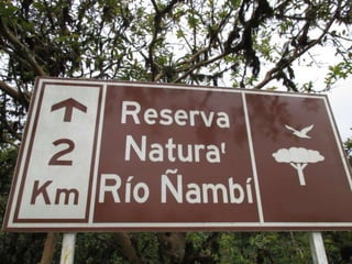 Colombia´s biodiversity in the Nambi reserve