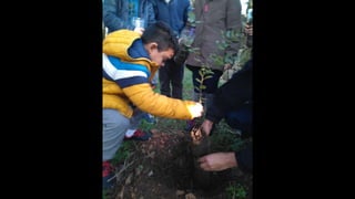 Fotos Plantação Dia 7 01 20 Terra Chã