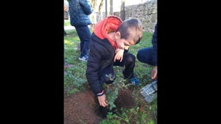 Fotos Plantação Dia 7 01 20 Terra Chã