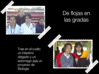 De flojas en las gradas Trae en el cuello un intestino delgado y un estomago jajaj un proyecto de Biología 