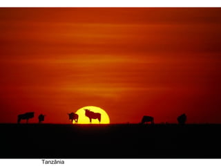 Tanzânia 