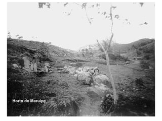 Horto de Maruípe 