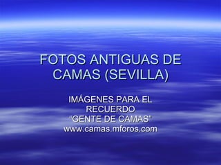 FOTOS ANTIGUAS DE CAMAS (SEVILLA) IMÁGENES PARA EL RECUERDO “ GENTE DE CAMAS” www.camas.mforos.com 