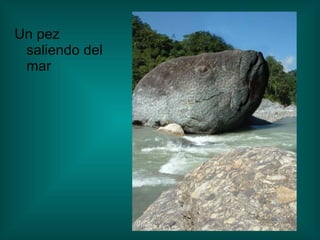 Un pez saliendo del mar 