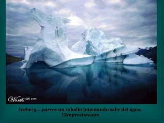 Iceberg… parece un caballo intentando salir del agua. ¡Impresionante! 