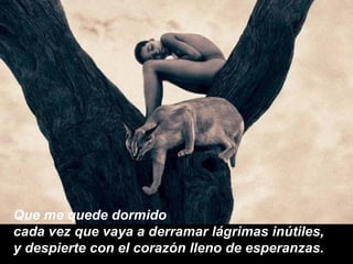 Que me quede dormido cada vez que vaya a derramar lágrimas inútiles, y despierte con el corazón lleno de esperanzas. 