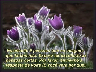 Eu escolhi 9 pessoas que eu imaginei que fariam isto. Espero ter escolhido as pessoas certas. Por favor, envie-me a resposta de volta (E você verá por que). 