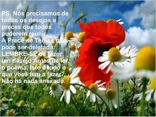 PS. Nós precisamos de todos os desejos e preces que todos puderem reunir. A Prece de Teresa não pode ser deletada. LEMBRE-SE de fazer um desejo Antes de ler o poema. Isto é tudo o que você tem a fazer. Não há nada anexado. 