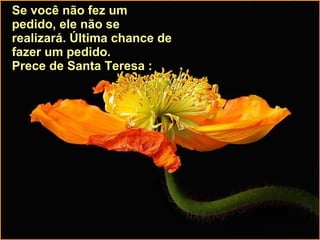 Se você não fez um pedido, ele não se realizará. Última chance de fazer um pedido. Prece de Santa Teresa : 
