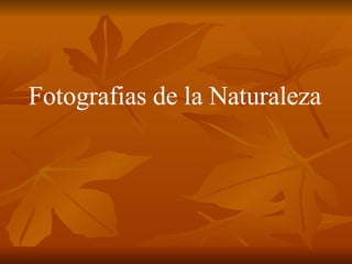 Fotografias de la Naturaleza 