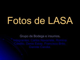 Fotos de LASA Grupo de Bodega e insumos . Integrantes: Carlos Navarrete, Romina Castillo, Denis Estay, Francisco Brito, Dannte Candia. 