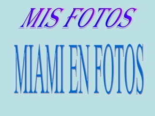 Mis fotos MIAMI EN FOTOS 